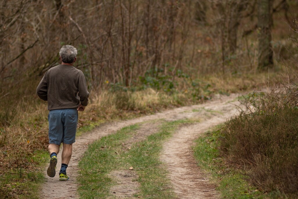 Older man jogging along a forest path -- exercise is good for brain health