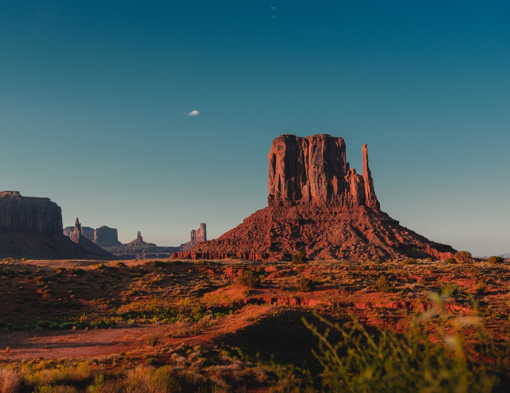 Ecologists believe that rewilding could prove valuable to combating climate change in western America.