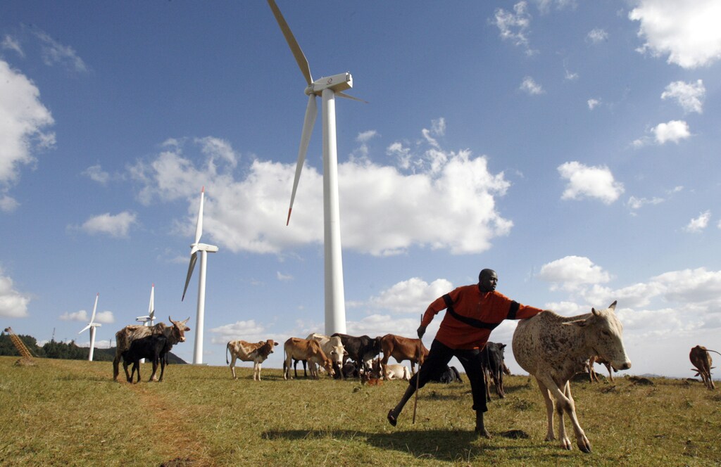 Renewable energy projects are often highly land-intensive, but such projects can be carried out responsibly.