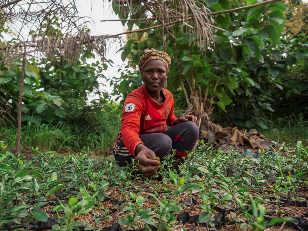 Amina Matobu shows trees that were purchased on Italy's Treedom, an e-commerce platform on which customers pay for having trees planted around the world, that has investors including former Formula 1 champion Nico Rosberg and Agnelli's family holding company Exor, in Bokito, Cameroon, July 21, 2021. Picture taken July 21, 2021. RICCARDO GRANDO TREEDOM PRESS OFFICE/Handout via REUTERS ATTENTION EDITORS - THIS IMAGE WAS PROVIDED BY A THIRD PARTY.