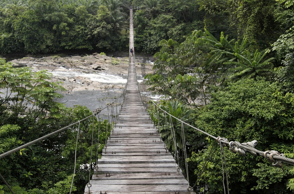 A view of a hanging bridge leading into Cameroon's Korup National Park June 9, 2012. Expanding markets from Nigeria to China are fuelling a voracious appetite for more food. A big part of that demand will have to be met by palm oil, a low-cost fat coveted by food manufacturers and a mainstay of cooking across the tropics. Since 2000, world demand for palm oil has doubled. Picture taken June 9, 2012. To match Special Report AFRICA-PALM/ REUTERS/Emmanuel Braun (CAMEROON - Tags: AGRICULTURE BUSINESS COMMODITIES ENVIRONMENT FOOD) - GM1E87I17WI01