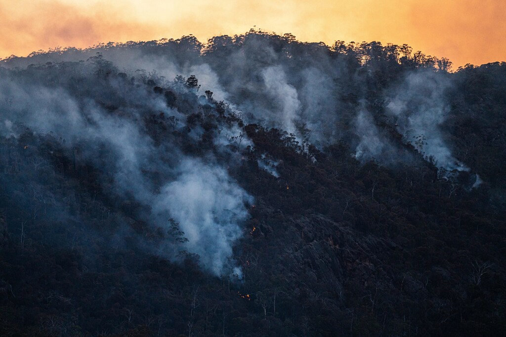 Higher temperatures resulting from climate change can have negative impacts on mental health, including worsening mood, while psychiatric disorders tend to increase during heatwaves.