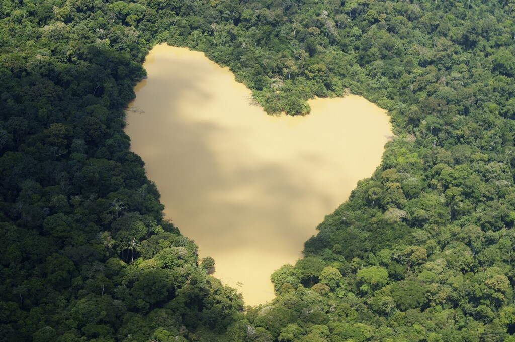 An aerial view of a natural lake fed by a spring in the Amazon River basin near Manaus, September 30, 2010. REUTERS/Ivan Canabrava (BRAZIL - Tags: ENVIRONMENT) - RTR2M9QE