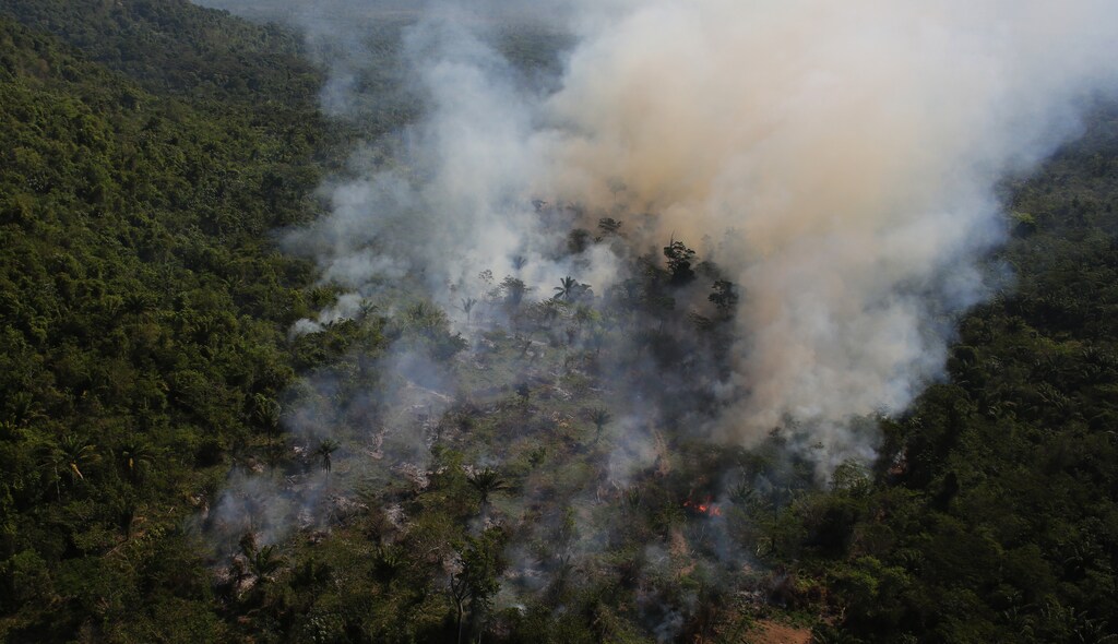 image of the Amazon jungle burning