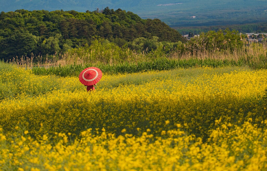 Japan's government is re-emphasizing its commitment to a circular economy, which could be the silver lining to Japan's declining rural populations.