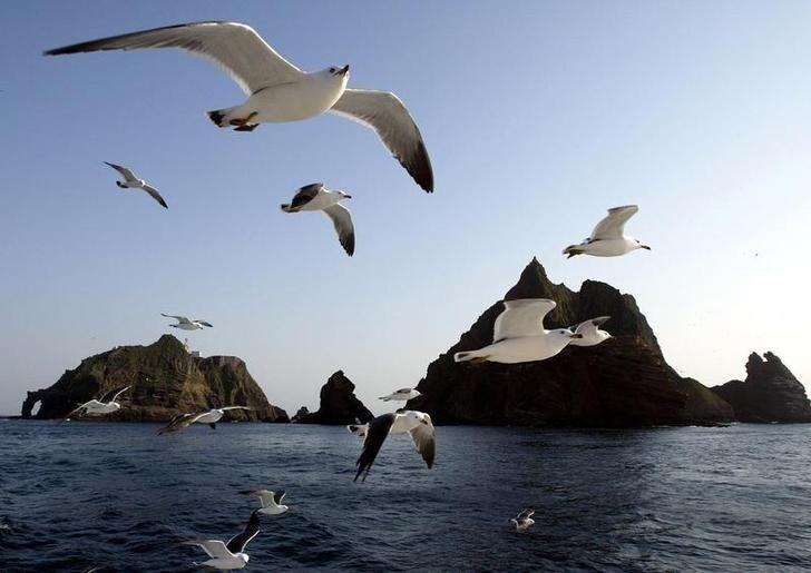 Seagulls soar in the sky near Tokto islets April 21, 2005. Many South Koreans see Tokyo's fight over the easternmost islets of the Korean Peninsula as harkening back to Japan's brutal 1910-1945 colonial rule over the peninsula. They see Tokyo's claims as a land grab similar to the expansion Japan undertook in the first half of the 20th century. Japan refers to the islets as Takeshima. REUTERS/Lee Jae-Won LJW/YH