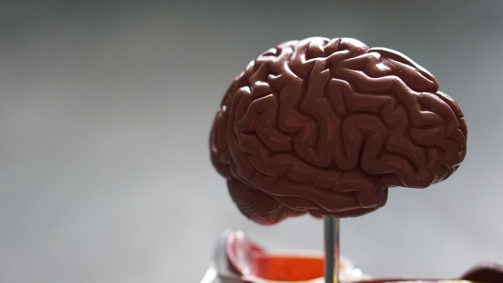 A prototype of the brain