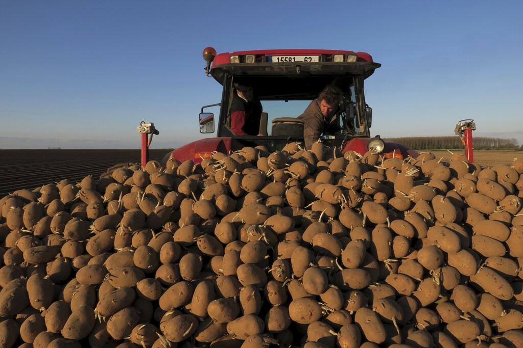 food - A farmer plants potatoes in his field in Tilloy lez Cambrai, France, April 18, 2016.