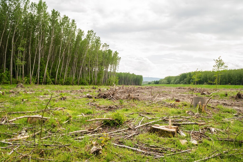 Earth's life-support systems are facing greater risks and uncertainties than ever before.