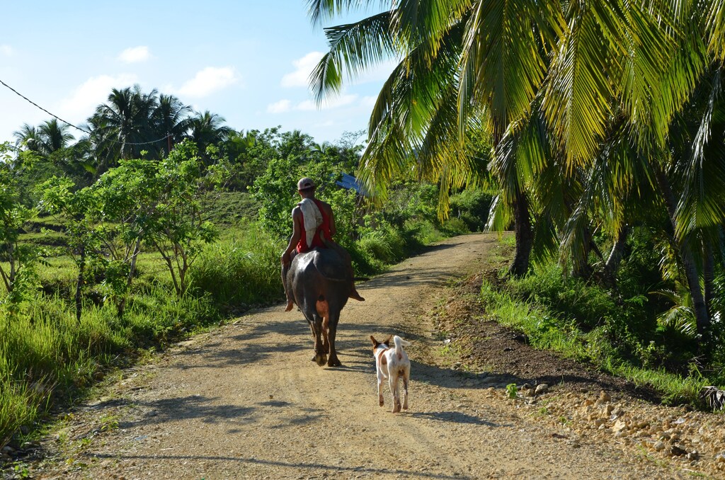 In Southeast Asia, rural banks by definition are traditional banks that serve farmers, fishermen, workers or communities away from the highly-dense metropolitan cities in a country.