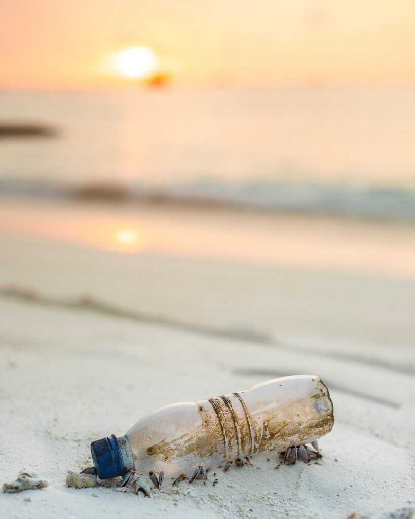 Clear plastic bottle by the sea: Companies can tackle environmental, social, and governance (ESG) challenges while achieving long-term profitability and resilience.