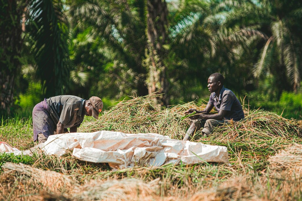 While global action lags, communities like those in the Tana watershed, Ethiopia are working tirelessly to address their water challenges locally.