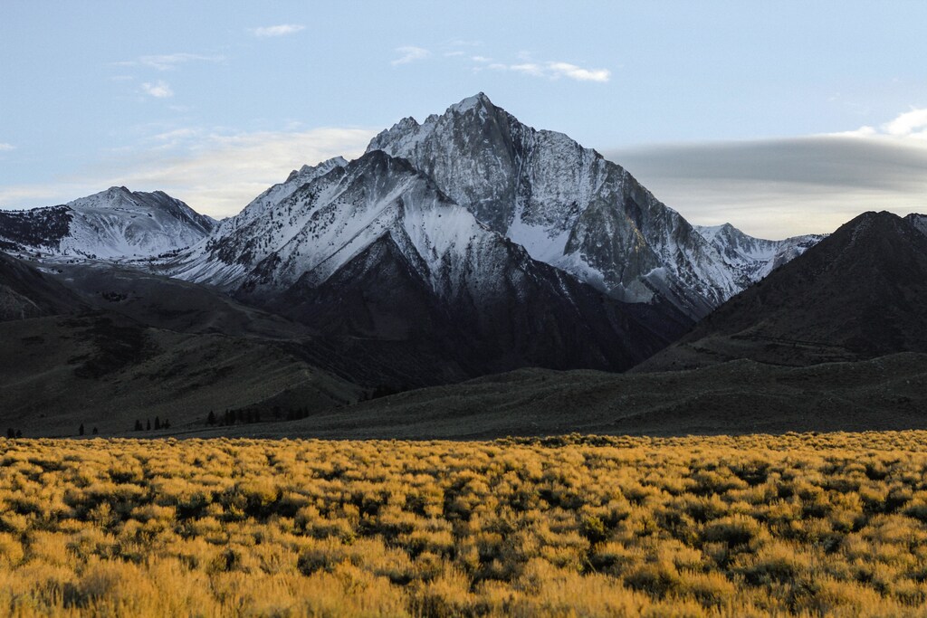 Roughly half of the world’s biodiversity hotspots are now located in mountainous regions.