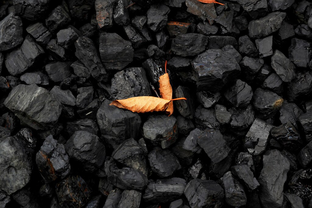 A leaf on top of a pile of coal in Youngstown, Ohio, US, 30 September 2020. A new report says there are large gaps in plans to tackle climate change.