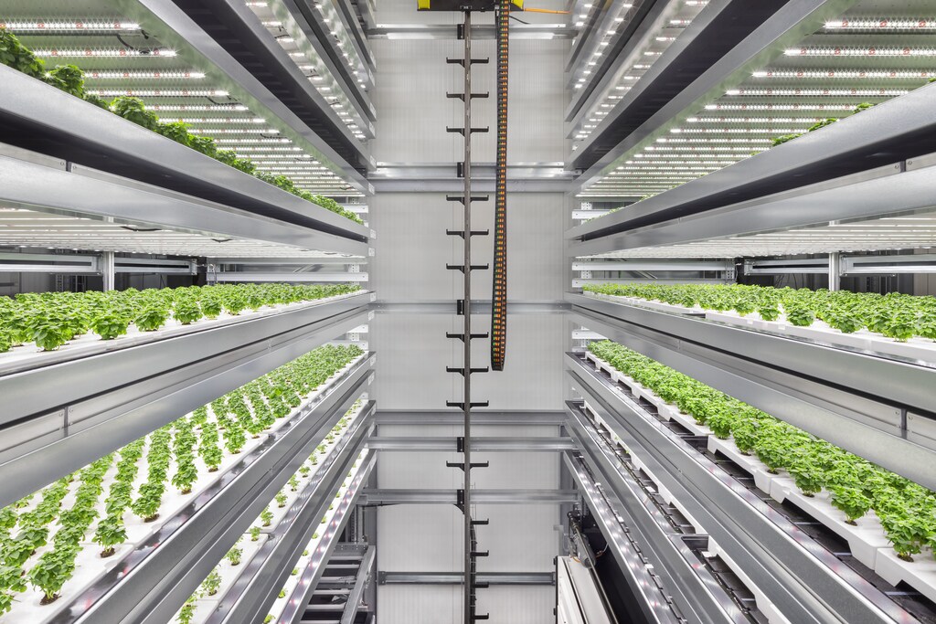 shelves of food crops inside a vertical farm