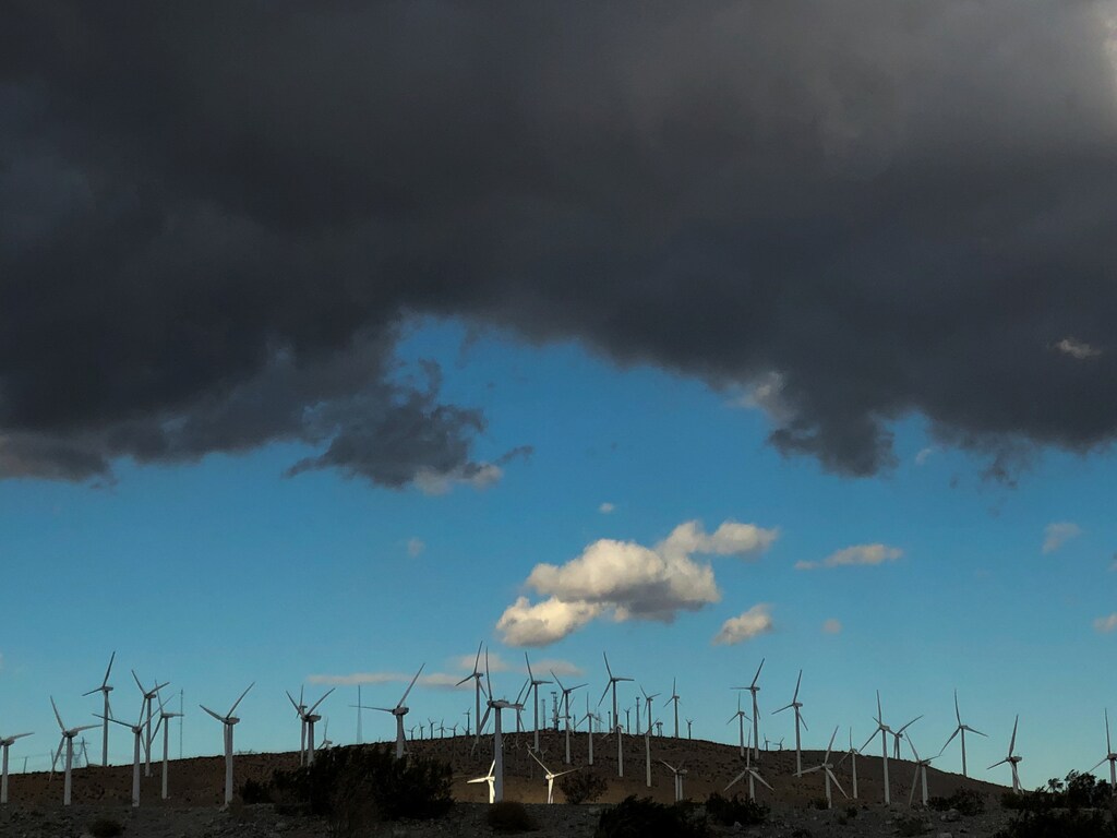 Windmills line a hillside in Palm Springs, California, U.S., November 29, 2019. REUTERS/Lucy Nicholson - RC2BLD9OMVNG