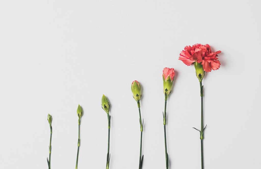 Flores creciendo en tamaño y floreciendo en línea para ilustrar el crecimiento; La inversión de impacto a través de fondos privados de impacto puede fortalecer el retorno.
