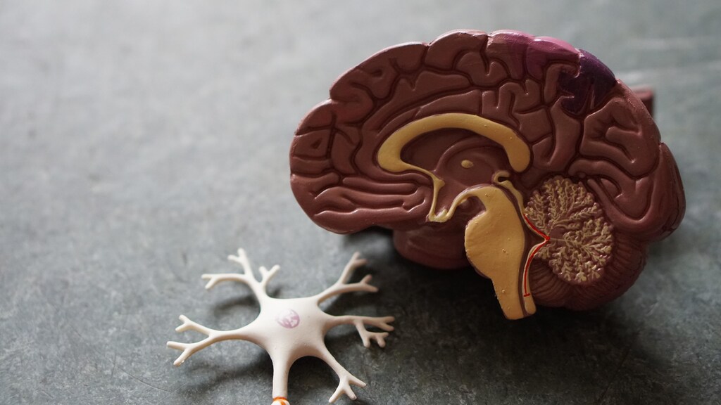 We have learnt more about Alzheimer's disease over the years.