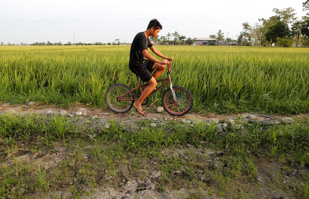 A farmer rides on a bicycle past a ricefield in Naujan, Oriental Mindoro in Philippines, August 27, 2018. Picture taken August 27, 2018. REUTERS/Erik De Castro - RC1A7E5115F0