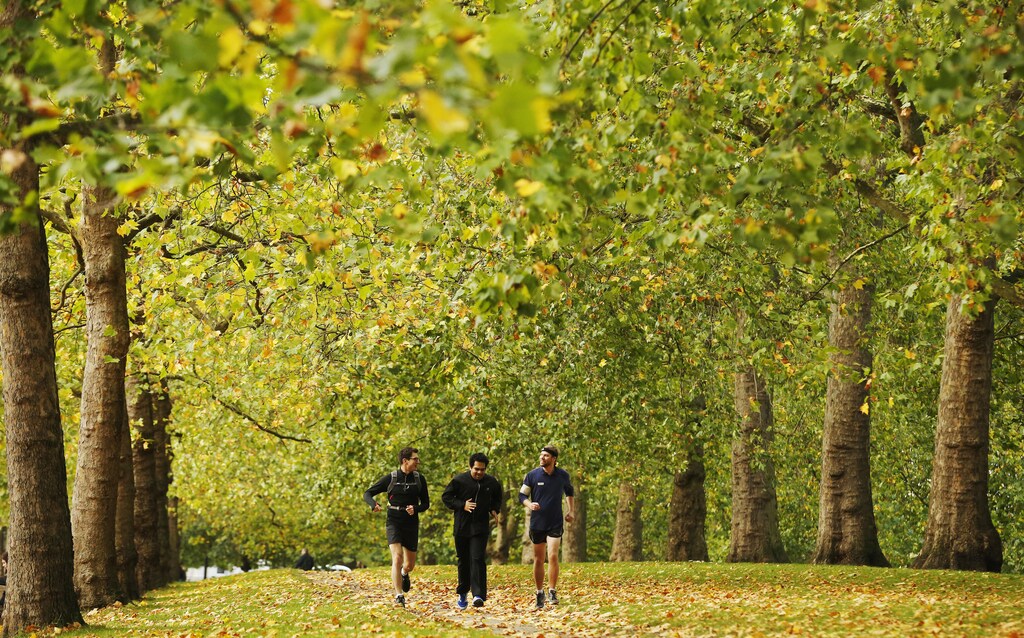 Joggers run along an avenue of trees during autumn at St James's Park in London