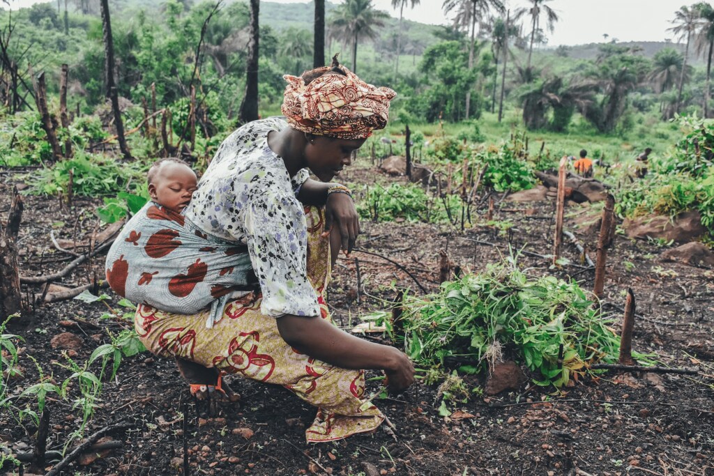 climate change woman carrying baby damaged forest displaced