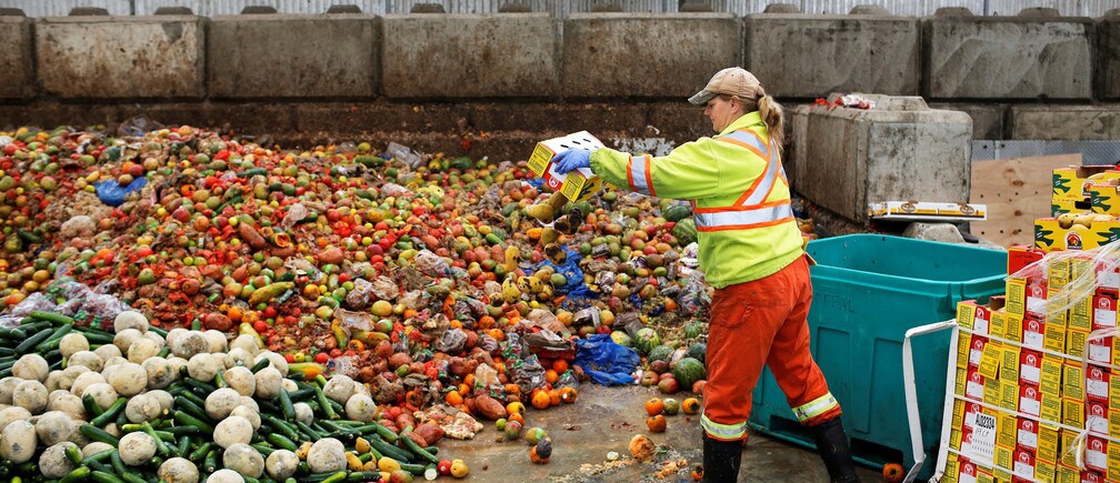 ¿La respuesta a la alimentación de más personas debería ser producir más alimentos cuando se desperdicia tanto?