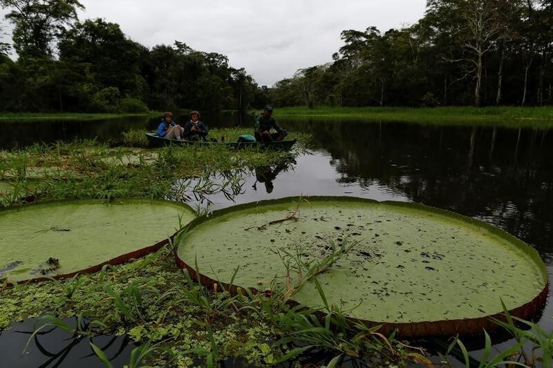 Tourists in a canoe explore the Mamiraua Sustainable Development Reserve in Uarini, Amazonas state, Brazil, May 30, 2017.
