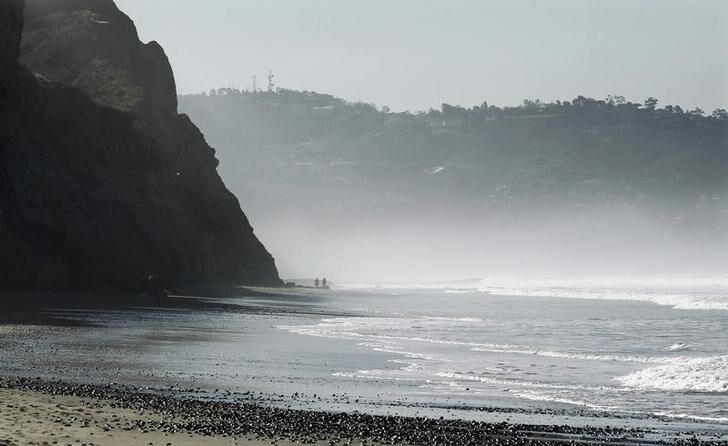 People walk next to the bluffs and mist along Torrey Pines State Beach in San Diego, California, January 24, 2011. REUTERS/Mike Blake (UNITED STATES - Tags: ENVIRONMENT)