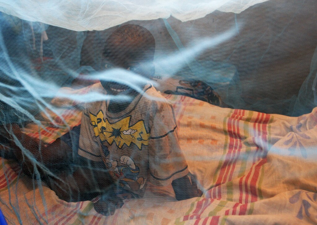 A Zambian boy sits inside a mosquito net offered by the Roll Back Malaria Zambezi Expedition in Matongo village, about 60 km (37 miles) from Livingstone, April 23, 2008. Zambia will host the World Malaria Day in the presence of Belgium's Princess Astrid, Goodwill Ambassador of the Roll Back Malaria Partnership on April 25. The medical teams of the expedition will travel more than 2,500 km (1,553 miles) in inflatable boats through Angola, Namibia, Botswana, Zambia, Zimbabwe to deliver mosquito nets and medications to remote areas. REUTERS/Thierry Roge (ZAMBIA) - GM1E44N1MM101