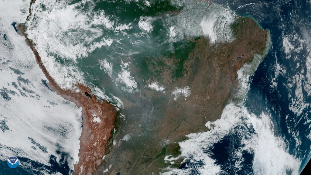 Data-driven technologies will be critical in how we monitor the effects of climate change and the efforts we take to protect earth's carbon sinks
