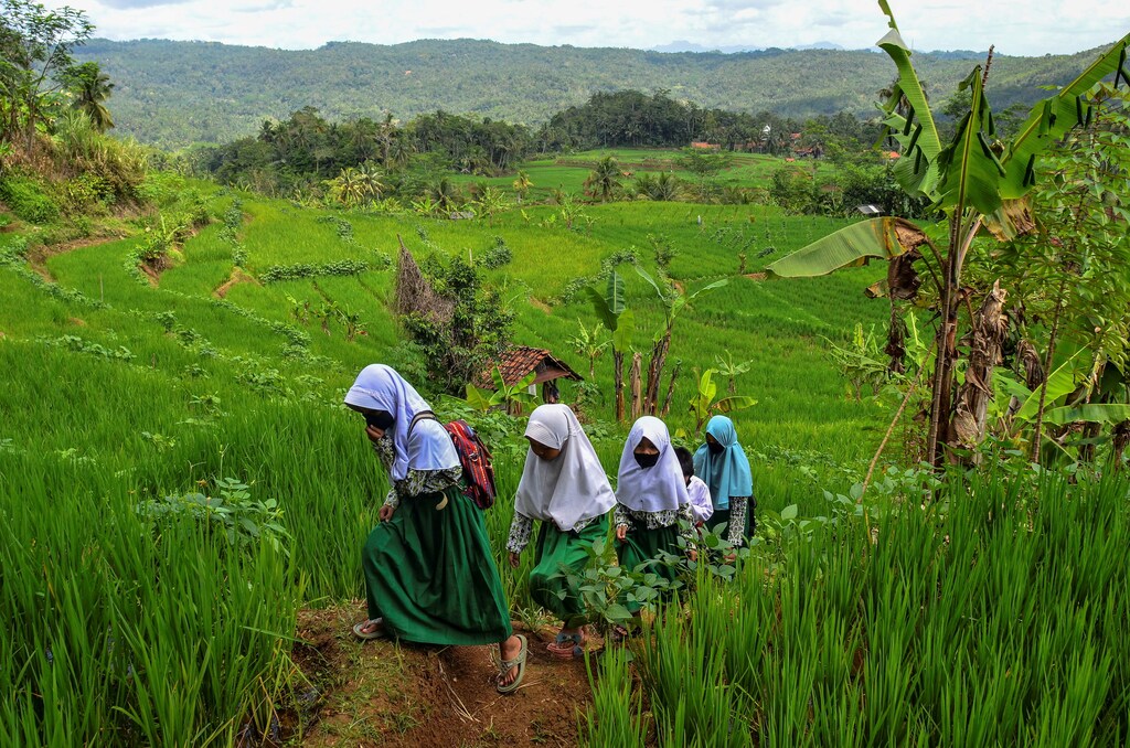Students wearing face masks walk home following a class as schools reopen on a trial basis after the government extended restrictions to curb the spread of coronavirus disease (COVID-19) in Ciamis, West Java, Indonesia September 9, 2021. Antara Foto/Adeng Bustomi/via REUTERS. ATTENTION EDITORS - THIS IMAGE WAS PROVIDED BY THIRD PARTY. MANDATORY CREDIT. INDONESIA OUT. TPX IMAGES OF THE DAY - RC2BMP9ZA7S4