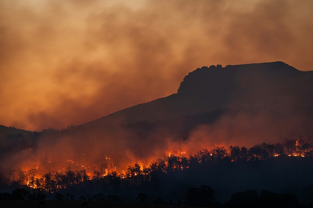 Early Warning Systems analyse and predict extreme weather events and natural disasters.