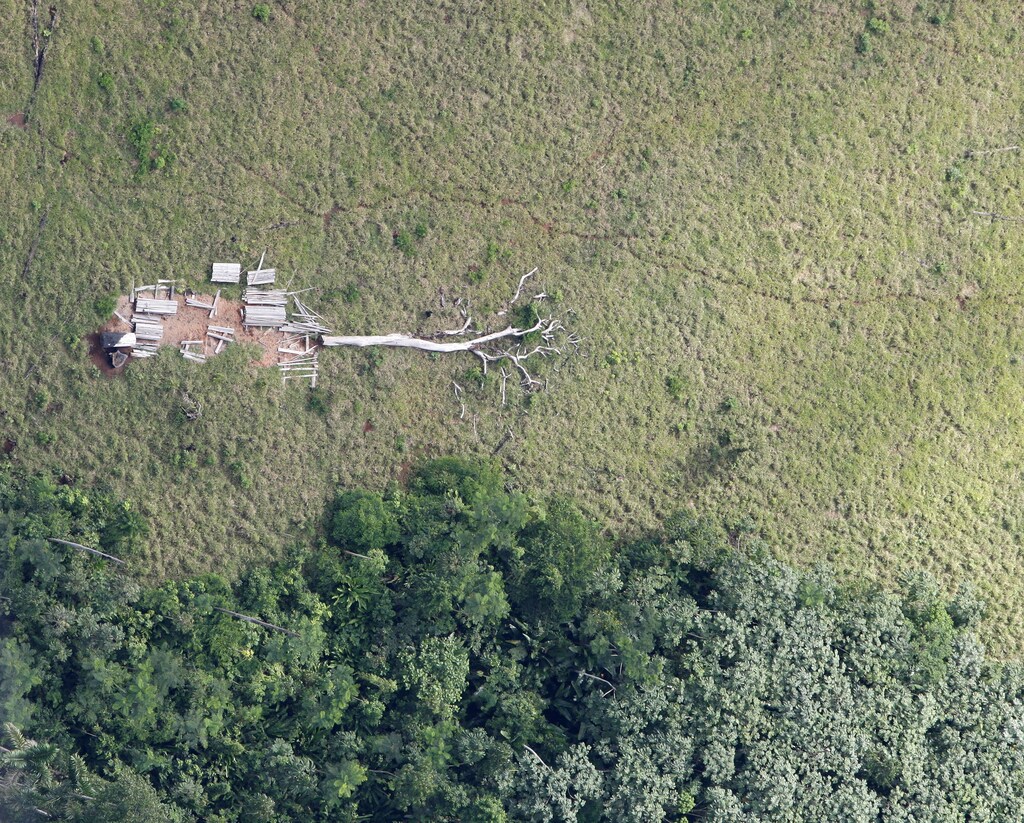 An aerial view of a deforested Amazonian jungle is seen close to Maraba, in Brazil's central state of Para in this May 3, 2009 file photo. Soon thousands of cows will be chewing pasture on the freshly cleared land in Brazil's Amazon state of Para, just a tiny part of Brazil's 200-million-strong commercial cattle herd, the world's biggest, that makes it a beef superpower. More than 70 million are in the Amazon area, three for every person. This is where the industry has grown fastest in recent years, a trend activists say is due to cheap land, widespread illegal clearing and weak government enforcement.
