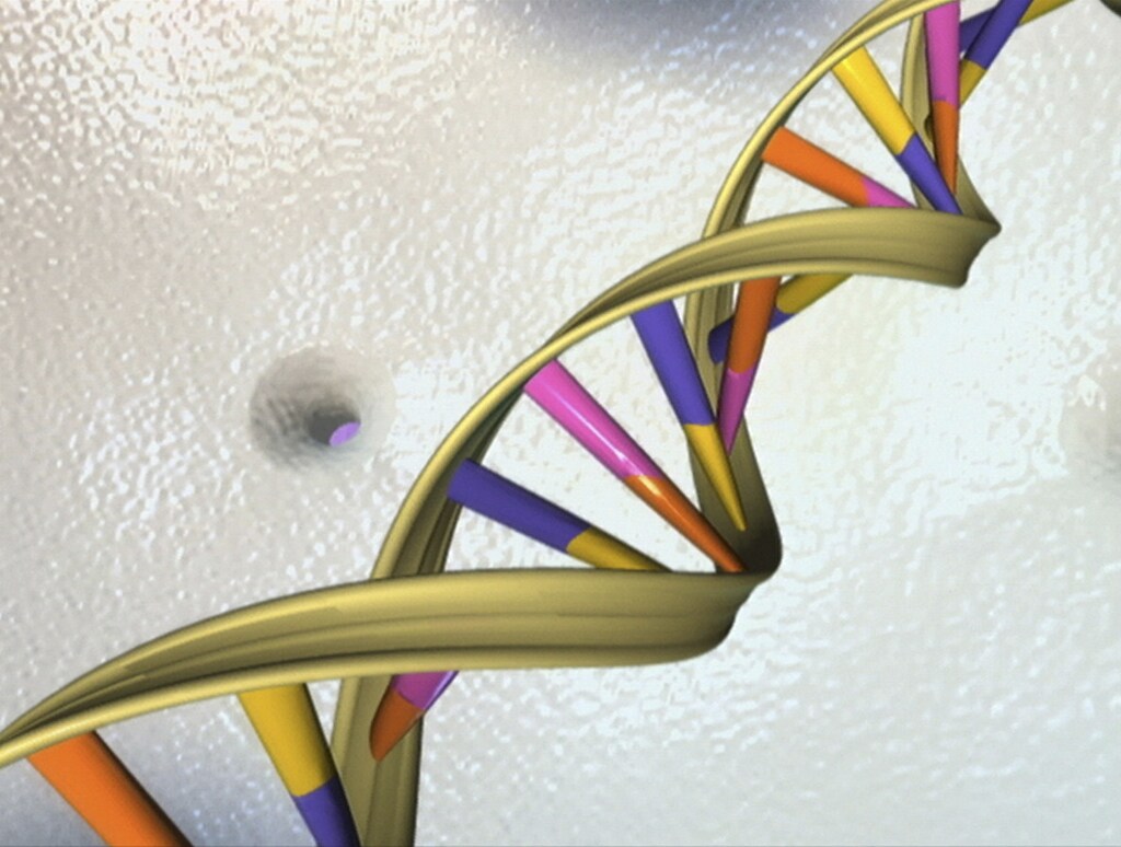 A +22 General Info Type Image Size 611 KB (625,284 bytes) Storage used 0 bytesOwned by someone else Location Health Owner Donald Armbrecht Modified 28 Oct 2014 by Donald Armbrecht Opened 13:19 by me Created 28 Oct 2014 Description A DNA double helix is seen in an undated artist's illustration released by the National Human Genome Research Institute to Reuters on May 15, 2012. REUTERS/National Human Genome Research Institute/Handout