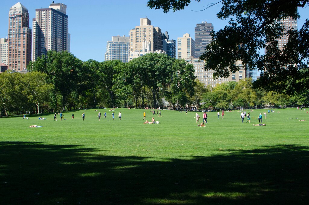Grupos de personas relajándose en Central Park, Nueva York, ilustrando cómo combatir la ansiedad urbana.
