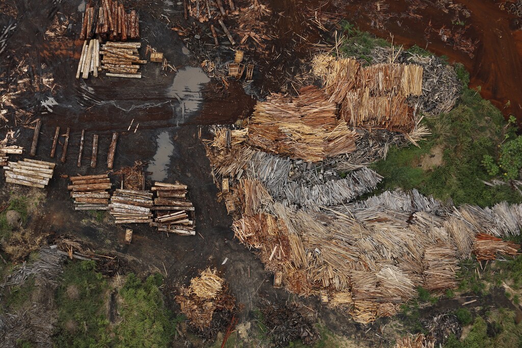 Sawmills that process illegally logged trees from the Amazon rainforest are seen near Rio Pardo, in the district of Porto Velho, Rondonia State, Brazil, September 3, 2015. The town of Rio Pardo, a settlement of about 4,000 people in the Amazon rainforest, rises where only jungle stood less than a quarter of a century ago. Loggers first cleared the forest followed by ranchers and farmers, then small merchants and prospectors. Brazil's government has stated a goal of eliminating illegal deforestation, but enforcing the law in remote corners like Rio Pardo is far from easy. REUTERS/Nacho DocePICTURE 5 OF 40 FOR WIDER IMAGE STORY "EARTHPRINTS: RIO PARDO" SEARCH"EARTHPRINTS PARDO" FOR ALL IMAGES - GF20000046395