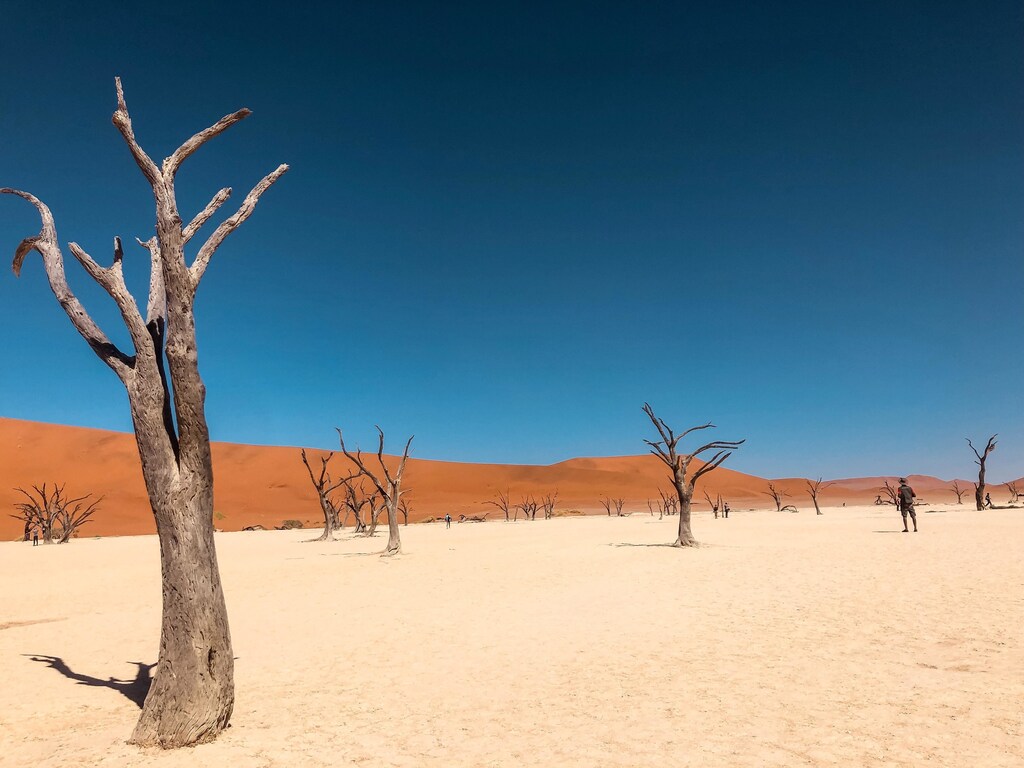 The future of our planet depends on our ability to limit global warming and avoid the worst impacts of climate change.