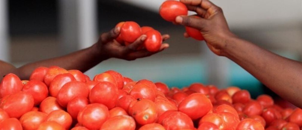 How will we feed 9 billion in 2050?