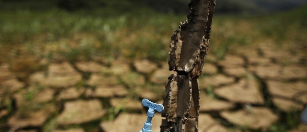 The importance of water cooperation