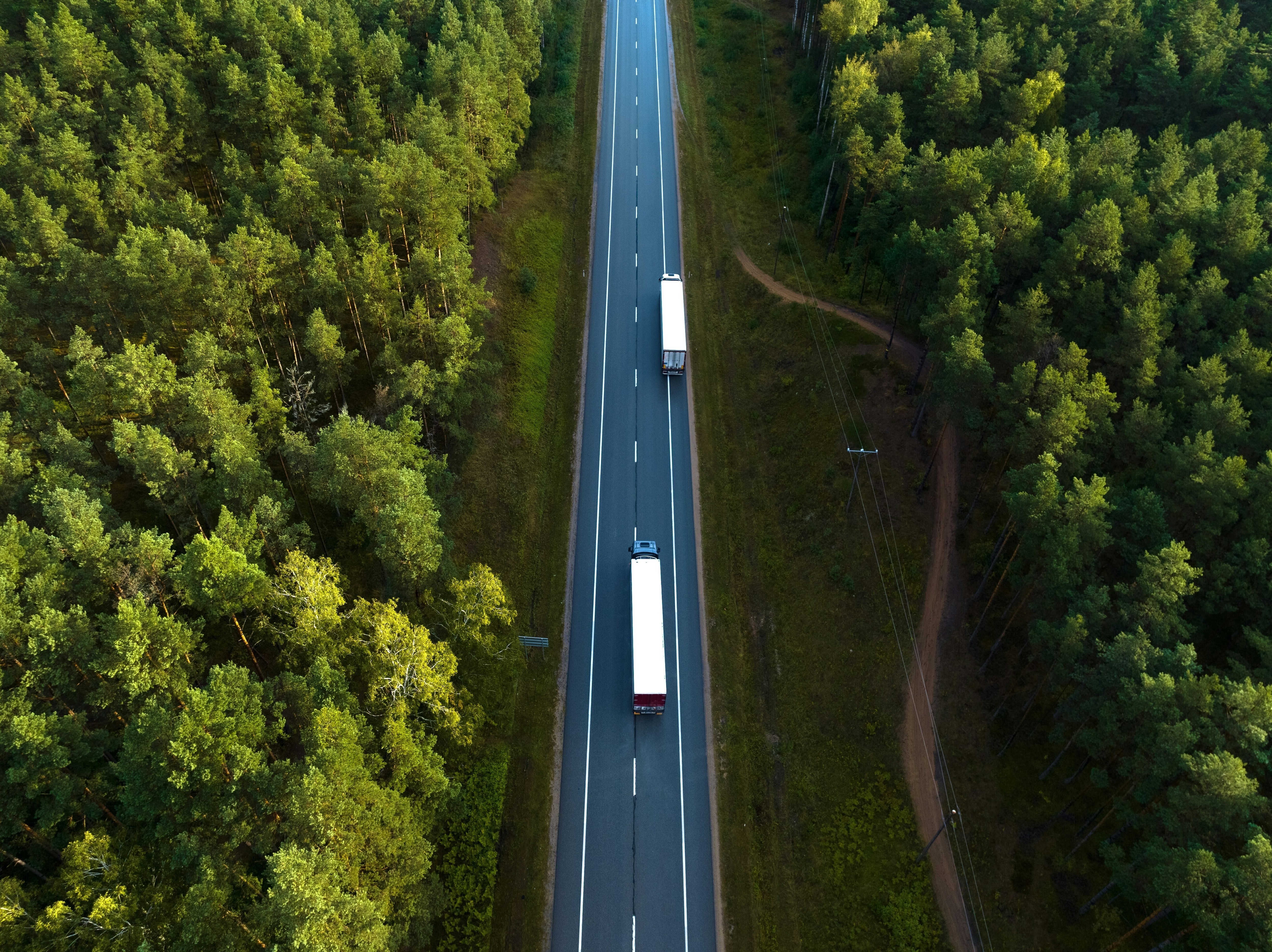 A truck going down a road in between trees: Organizations must take control of green procurement to reduce Scope 3 emissions