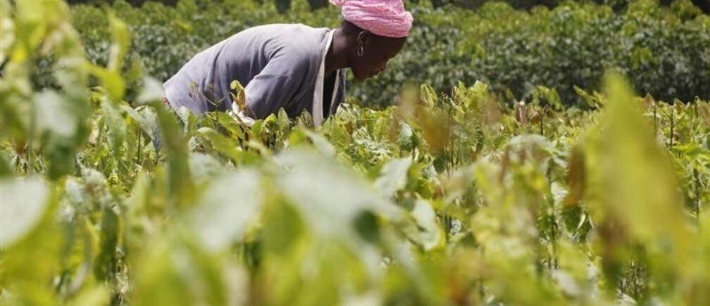 African potential – it’s time to “Grow Africa”
