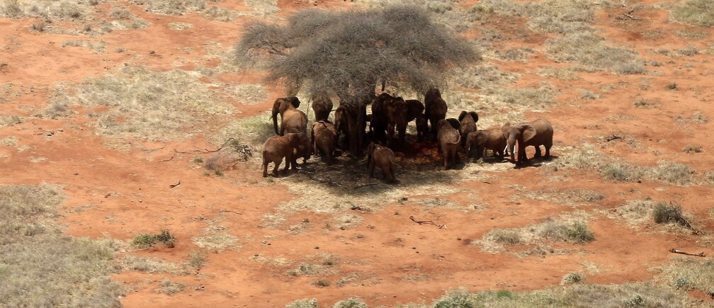 How have humans changed the way other species live?