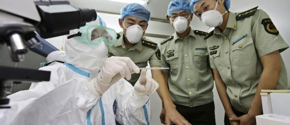 ¿Qué se puede hacer para abordar la causa raíz del ébola?