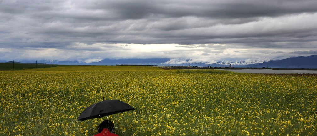 10 facts about the Sustainable Development Goals
