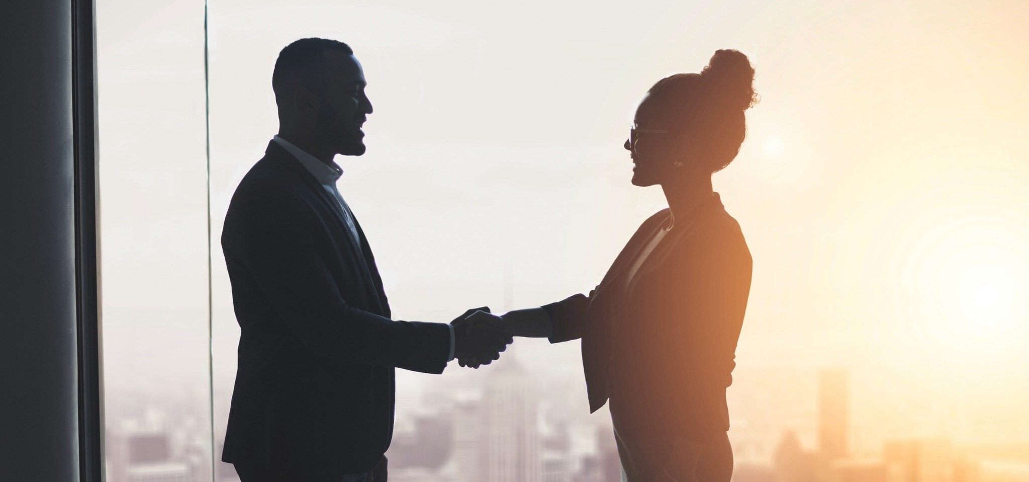 Ecosystem alliance: Silhouetted shot of two businesspeople shaking hands in an office