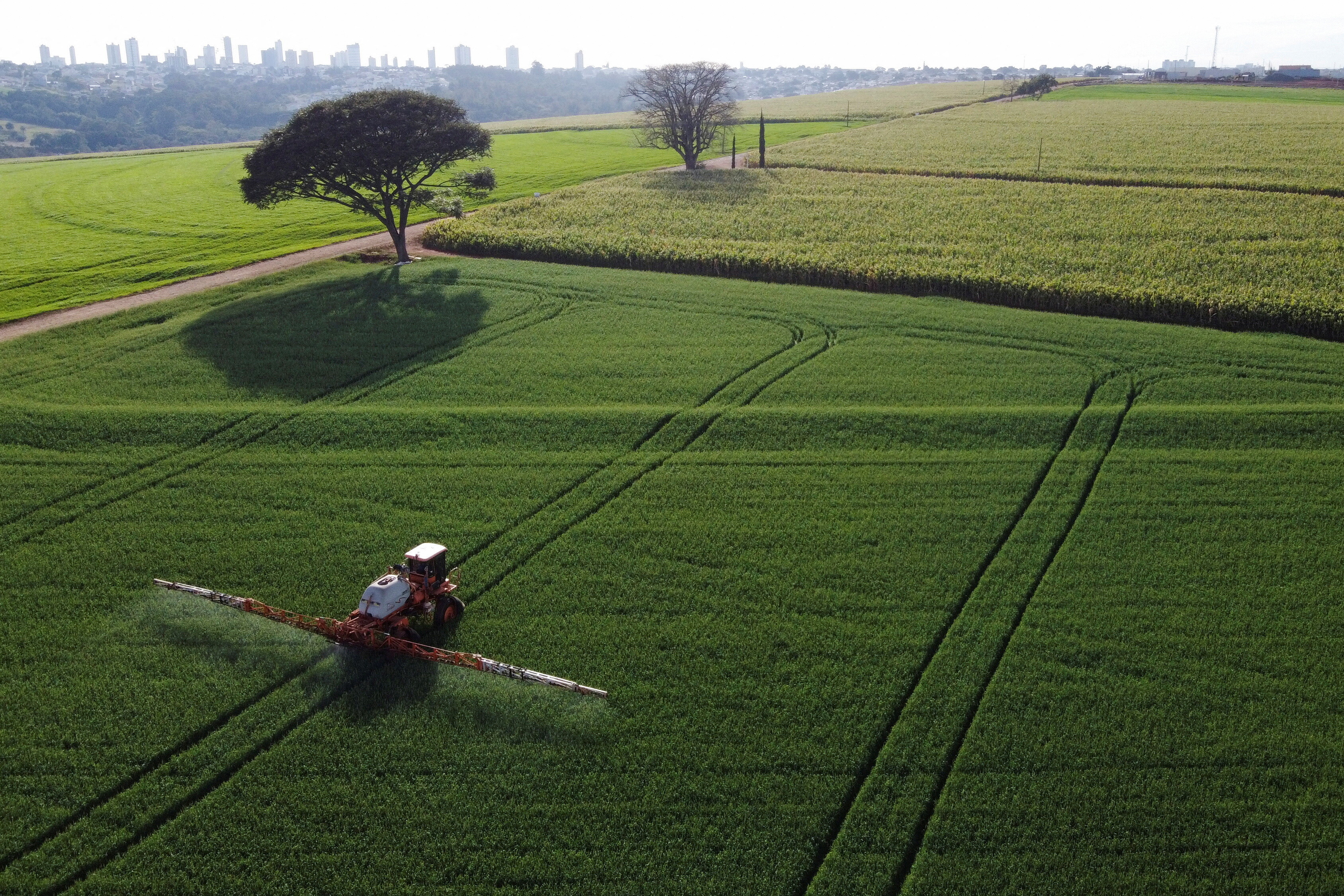 A tractor sprays pesticides on wheat crops in Arapongas, Brazil.