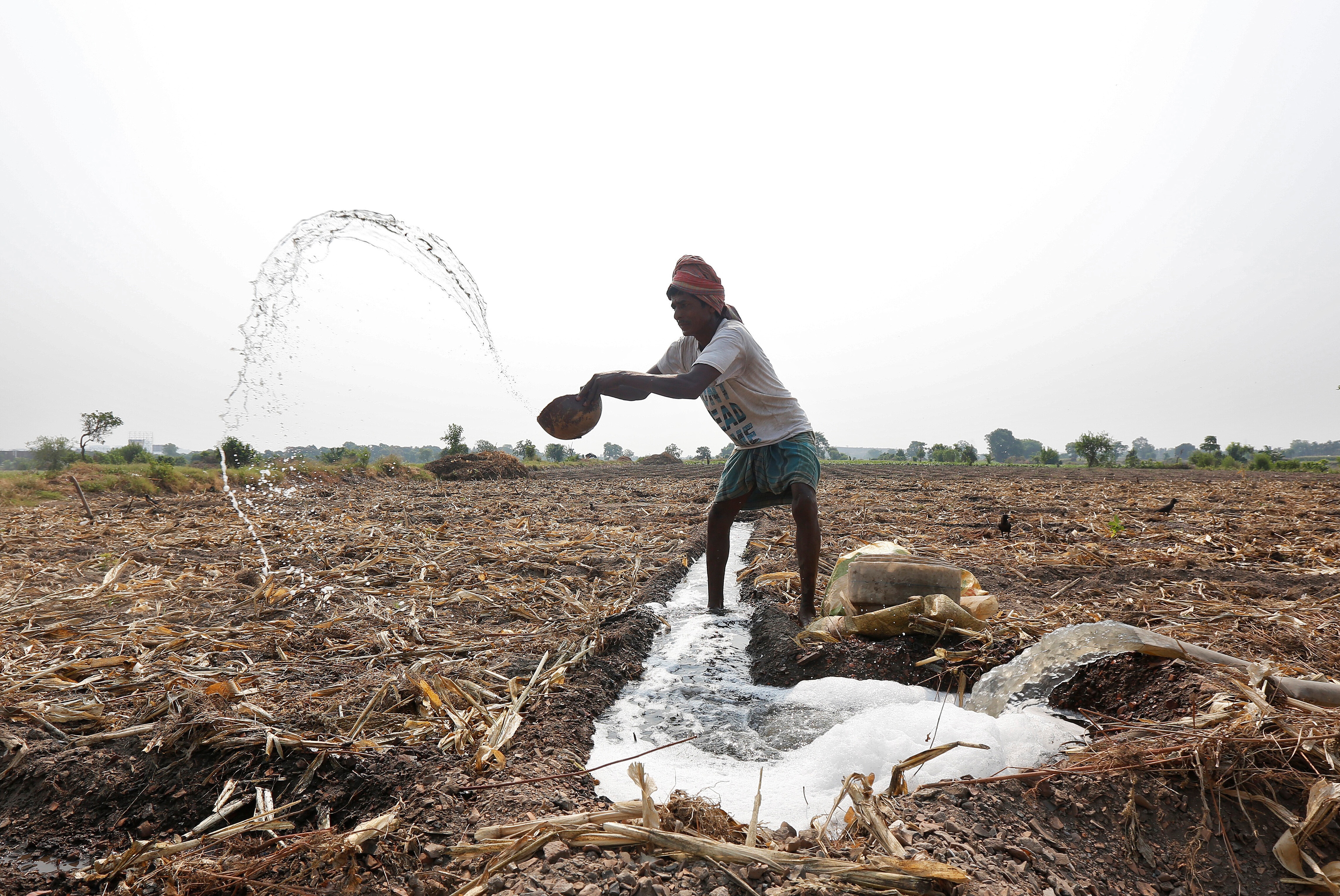 A farmer throws water after making a canal to irrigate his field in Kolkata, India. 