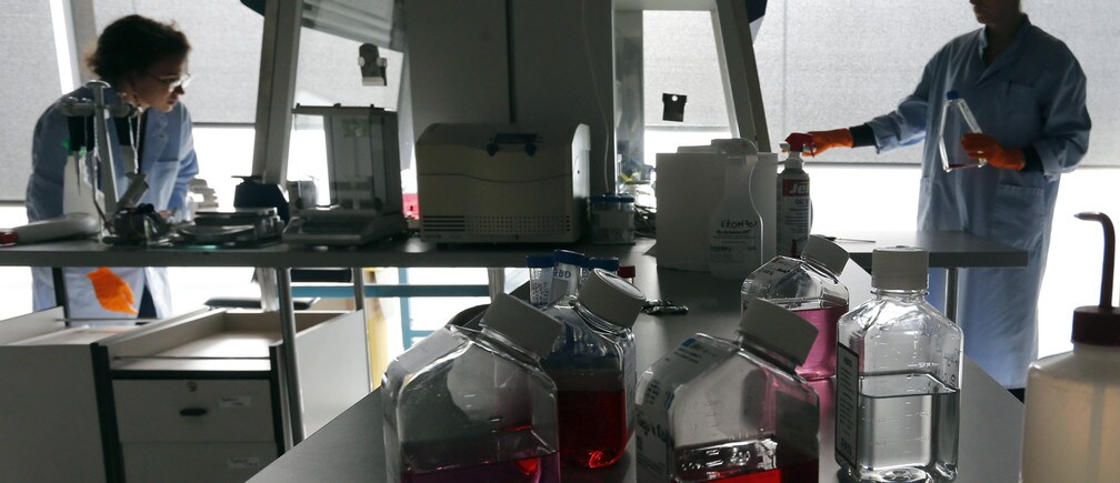 Why business leaders should think like scientists