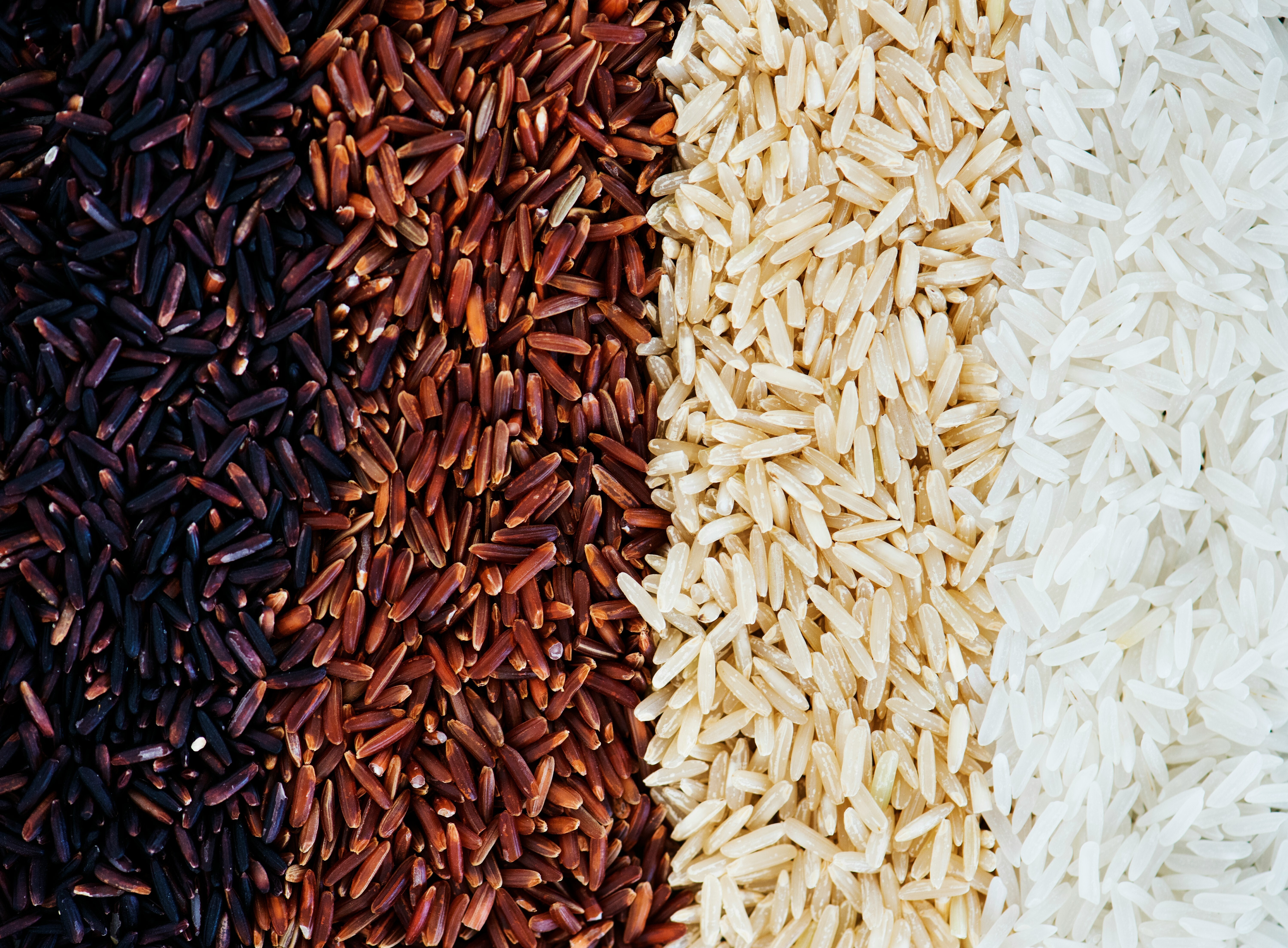 Four different types of grains of rice from black, brown and white: Rice is the world’s largest staple foodstuff and demand is rising