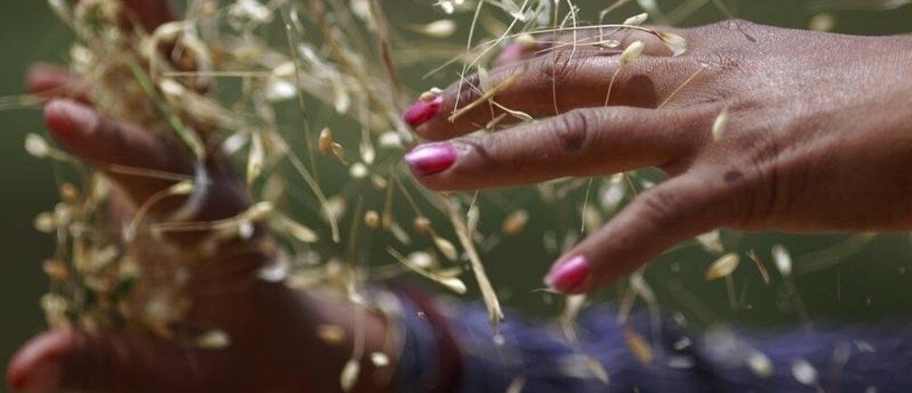 What happens when farmers migrate?